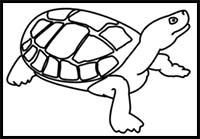 How to Draw a Turtle