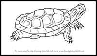 How to Draw a Pond Slider