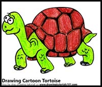How to Draw a Cartoon Tortoise