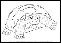 How to Draw a Gopher Tortoise