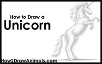 How to Draw a Unicorn
