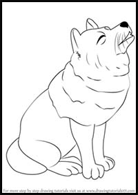How to Draw a Wolf for Kids