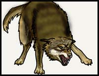 How to Draw a Real Grey Timber Wolf