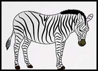 How to Draw a ZEBRA Step by Step