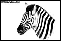 How to Draw a Zebra Head