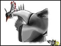 How to Draw Lord Shen from Kung Fu Panda 2