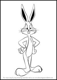 How to Draw Bugs Bunny from Looney Tunes