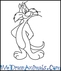 How to Draw Sylvester from Looney Tunes