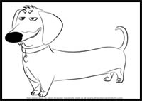 How to Draw Buddy from The Secret Life of Pets