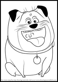 How to Draw Mel from The Secret Life of Pets