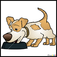 How to Draw Dog, Masha and The Bear