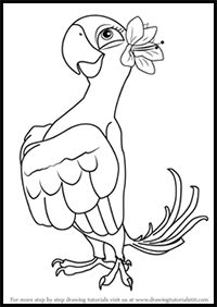 How to Draw Jewel from Rio