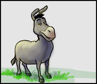 How to Draw Donkey from Shrek