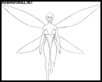 How to Draw The Wasp