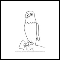 how to draw the eagle from PAW Patrol