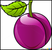 How to Draw a Plum