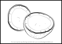 How to Draw a Coconut