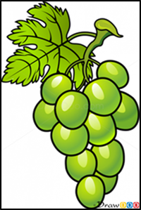 How to Draw Grapes