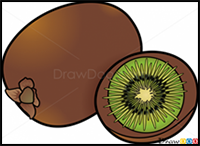 How to Draw Kiwi