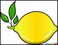 How to Draw a Lemon