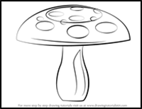 How to Draw a Mushroom