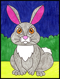How to Draw a Bunny