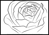 How to Draw a Rose Bud
