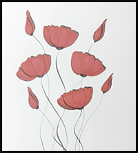 How to Draw Poppies
