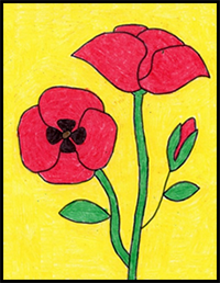 How to Draw a Poppy
