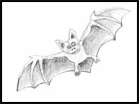 How to Draw a Bat