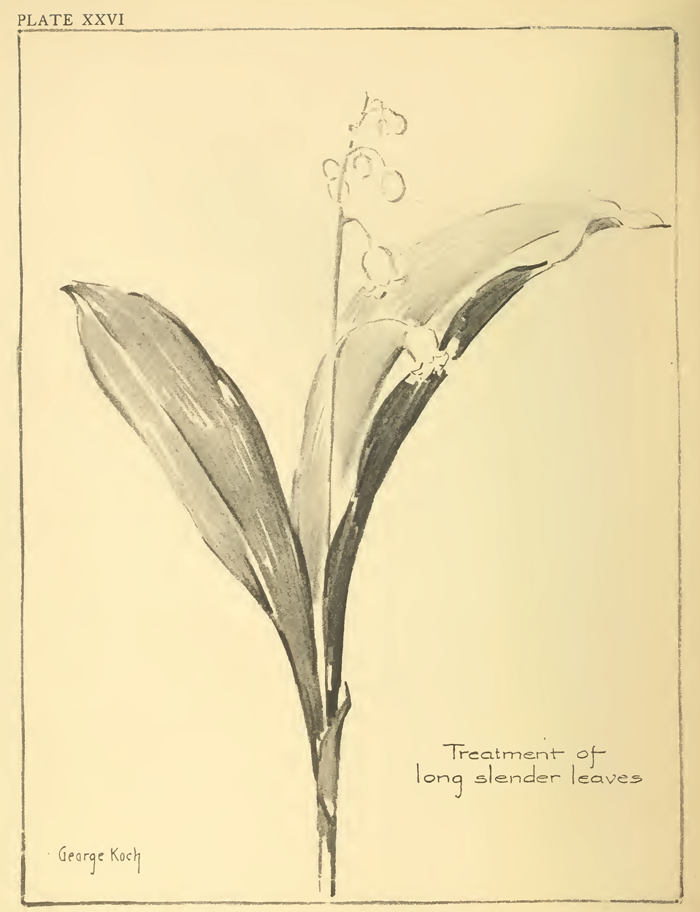 Drawing Leaves with Pencils