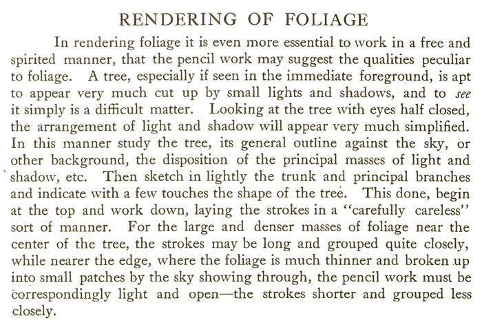 How to Draw Foliage