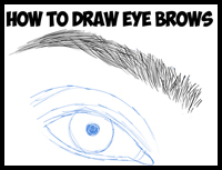How to Draw Eye Brows Step by Step Drawing Tutorial